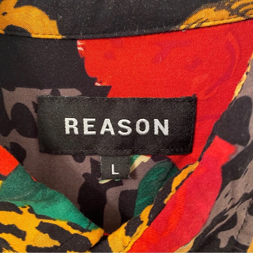 Reason - Picture 3 of 6